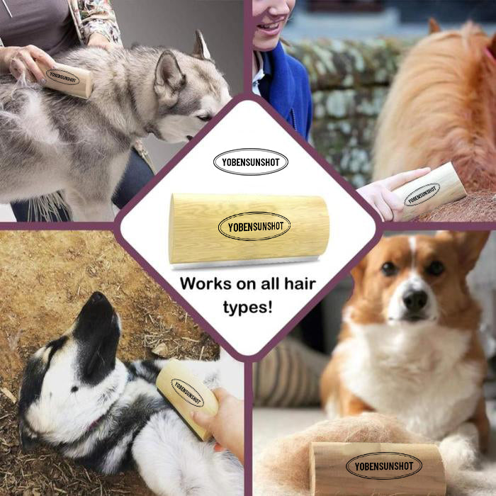Say Goodbye to Shedding! YOBENSUN Grooming Brush for All Dogs 🐾