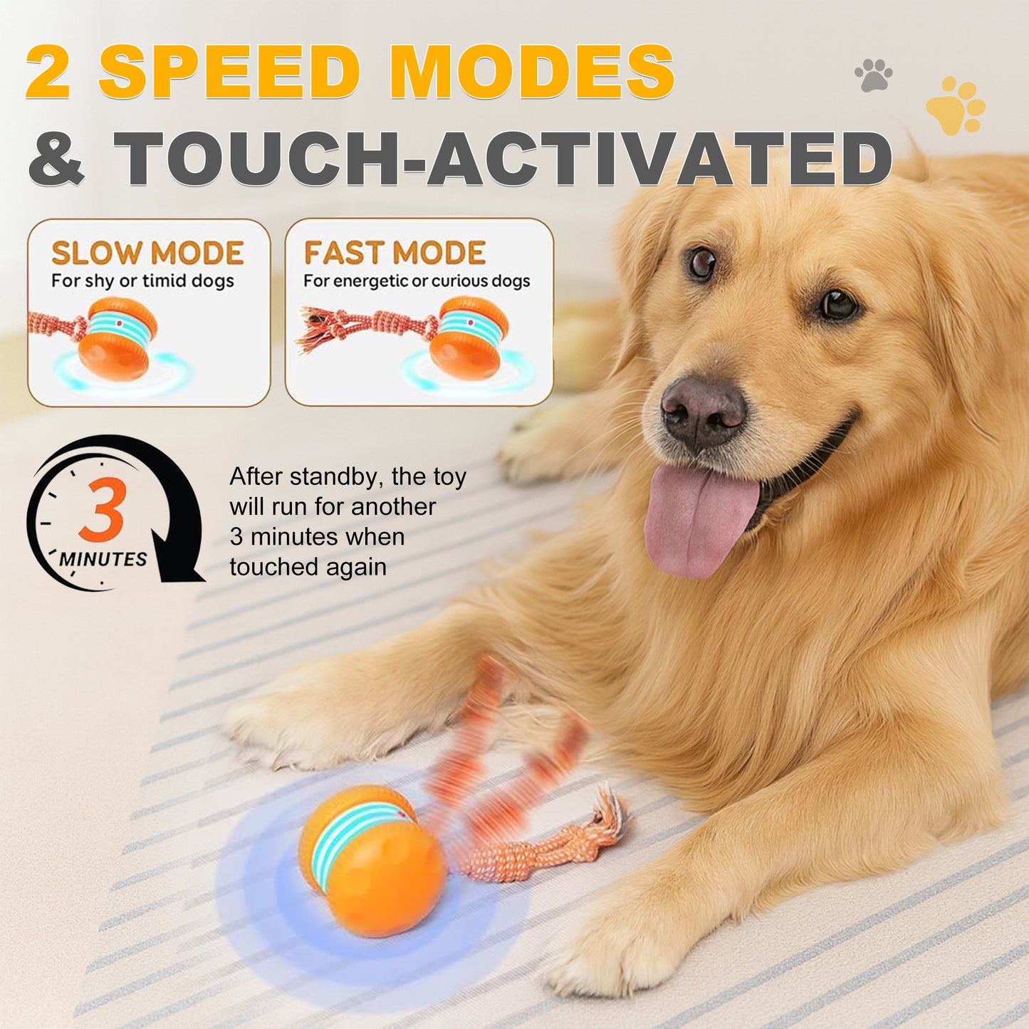 ✨2026’s Best Choice for Pet Parents for Bored Dogs & Cats 🐱🐶
