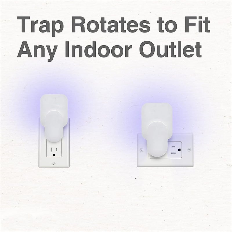 🪰 Indoor Plug-in Fly Traps for Flies