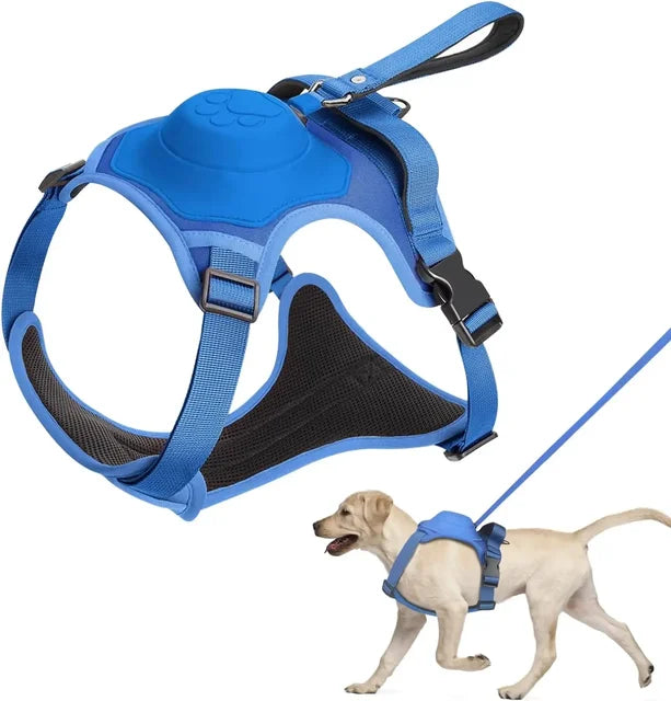 ๐ 2025 New Ultimate Dog Harness & Leash: Comfort & Control ๐พ