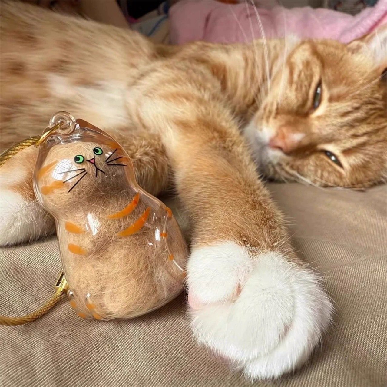 💥 Buy 1 Get 1 Free — Transparent Pet Storage Capsule Keychains 🐱