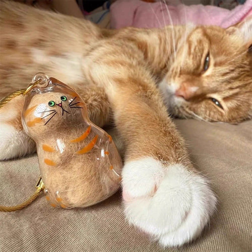 💥 Buy 1 Get 1 Free — Transparent Pet Storage Capsule Keychains 🐱