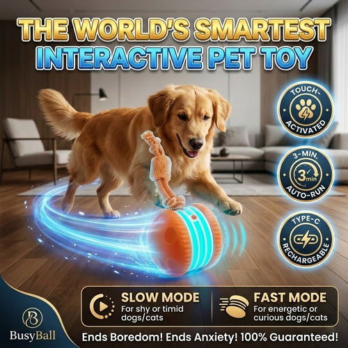 Keep Your Pet Relaxed, Happy  Content