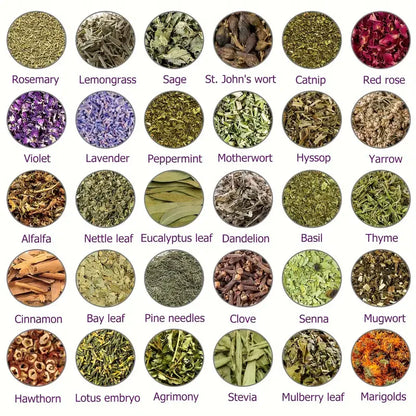 JEREMYTIS™ Herbal Body Detox Foot Soak Beads🦵