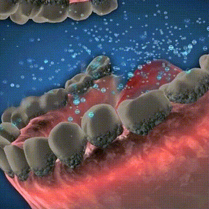 Oraliz™ Repair Teeth Anti-Decay - Hydroxyapatite Toothpaste