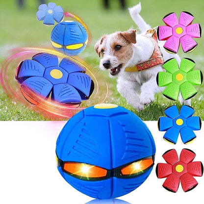 🐕 2025 Innovative Magic Flying Disc Dog Ball 🐾