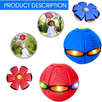 🐕 2025 Innovative Magic Flying Disc Dog Ball 🐾