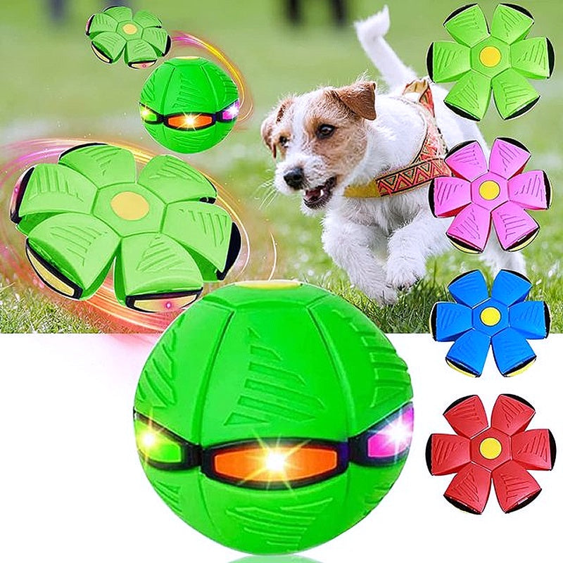🐕 2025 Innovative Magic Flying Disc Dog Ball 🐾