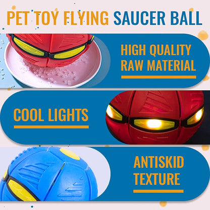 🐕 2025 Innovative Magic Flying Disc Dog Ball 🐾
