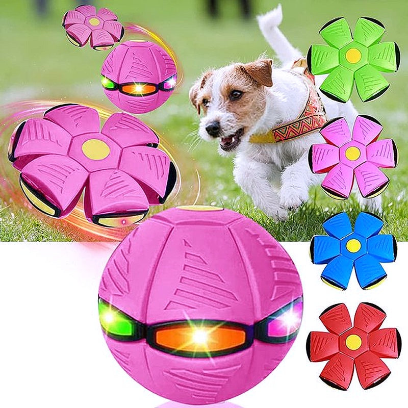 🐕 2025 Innovative Magic Flying Disc Dog Ball 🐾