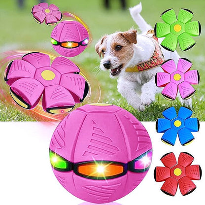 🐕 2025 Innovative Magic Flying Disc Dog Ball 🐾