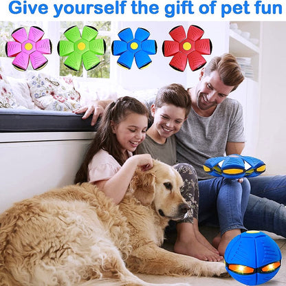 🐕 2025 Innovative Magic Flying Disc Dog Ball 🐾
