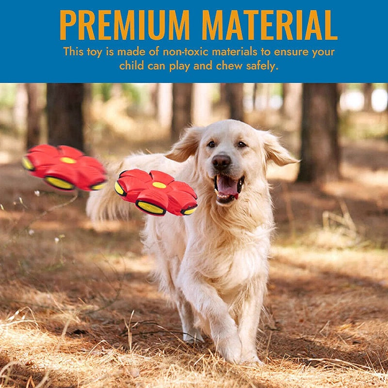 🐕 2025 Innovative Magic Flying Disc Dog Ball 🐾