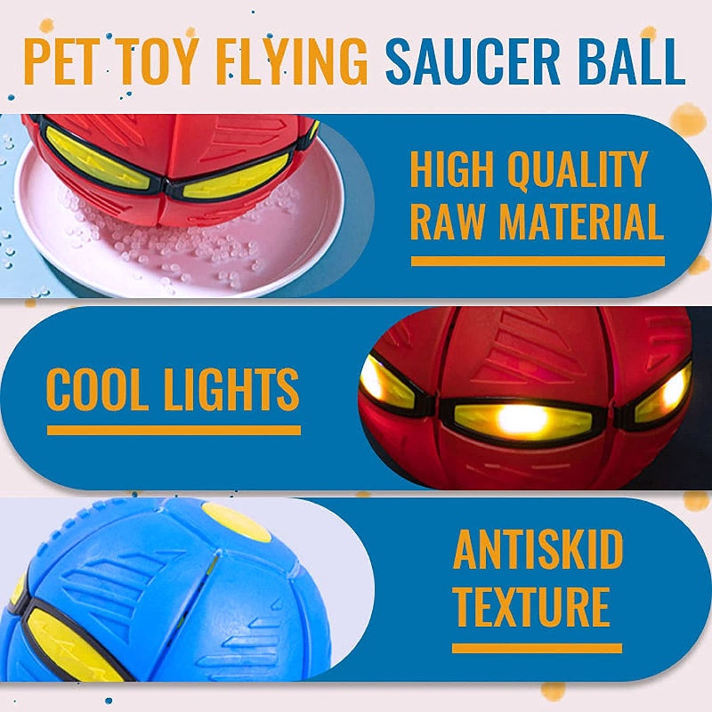 🐕 2025 Innovative Magic Flying Disc Dog Ball 🐾