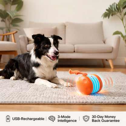 🐶The LEVYNODE™ – Keep Your Pet Relaxed, Happy & Content