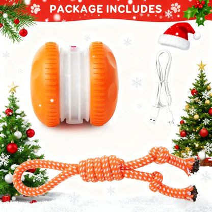 🐾 YOBENSUN™ Smart Buddy Ball
