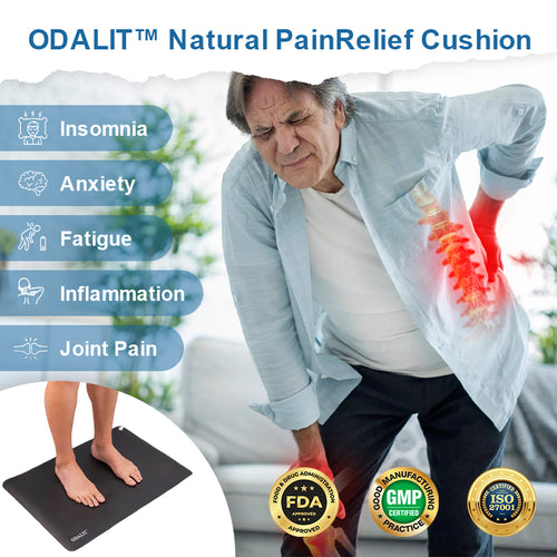 ODALIT™ Natural Pain Relief Cushion 🌎
