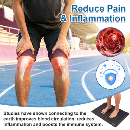 ODALIT™ Natural Pain Relief Cushion 🌎