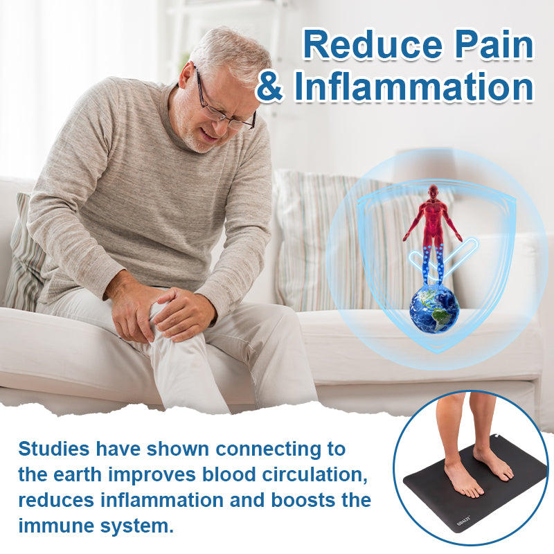 ODALIT™ Natural Pain Relief Cushion 🌎