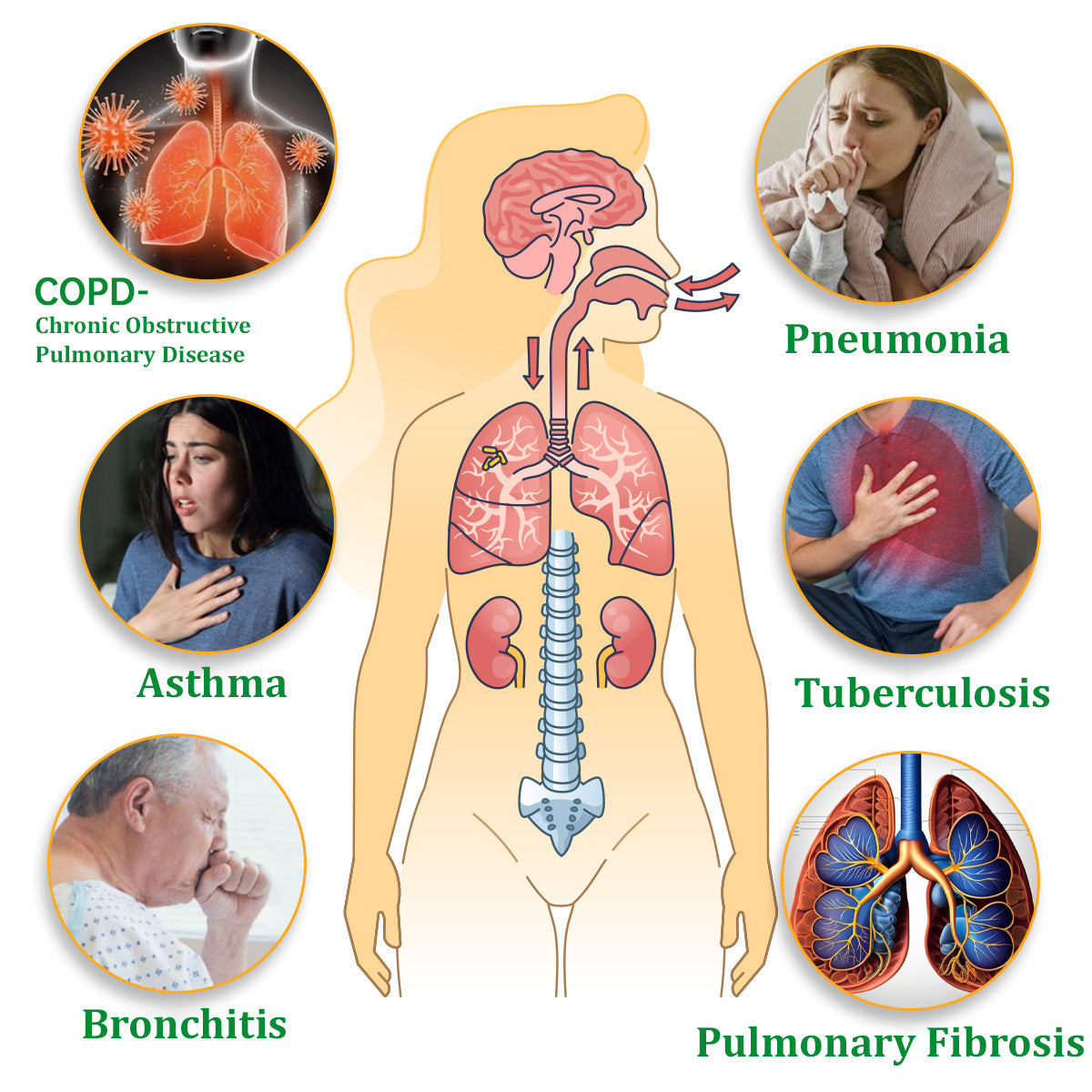 ✅Official Store: ODALIT™ Herbal Lung Cleansing Inhaler