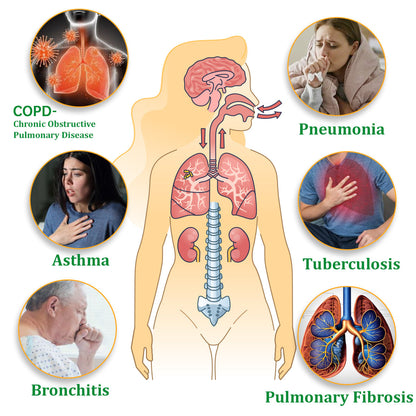 ✅Official Store: ODALIT™ Herbal Lung Cleansing Inhaler