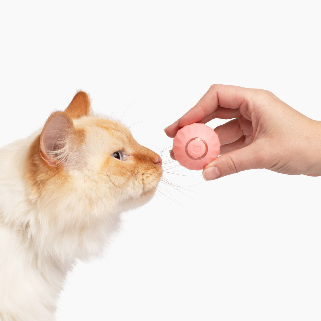 🎄2025🐾New Release - 50% Off - Automatic Smart Cat Teaser Ball 2.0