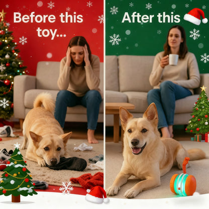 🐾 YOBENSUN™ Smart Buddy Ball