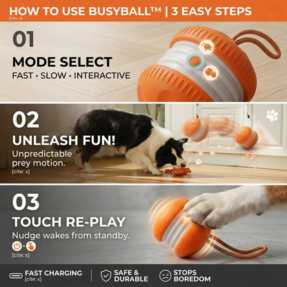 Keep Your Pet Relaxed, Happy  Content