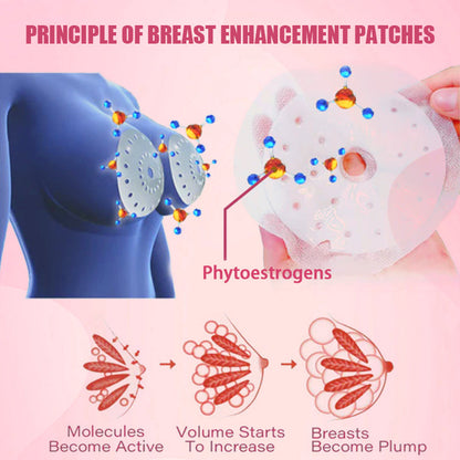 🔥Final Day Sale - Save 80% Now!🔥LBMLBM™ 2025 Breast Pro - Plump Patch🌸