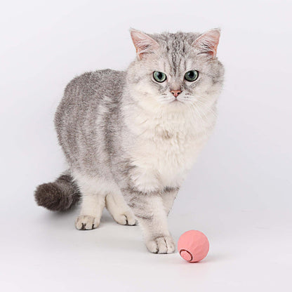 🎄2025🐾New Release - 50% Off - Automatic Smart Cat Teaser Ball 2.0
