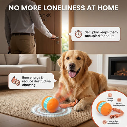 Keep Your Pet Relaxed, Happy  Content