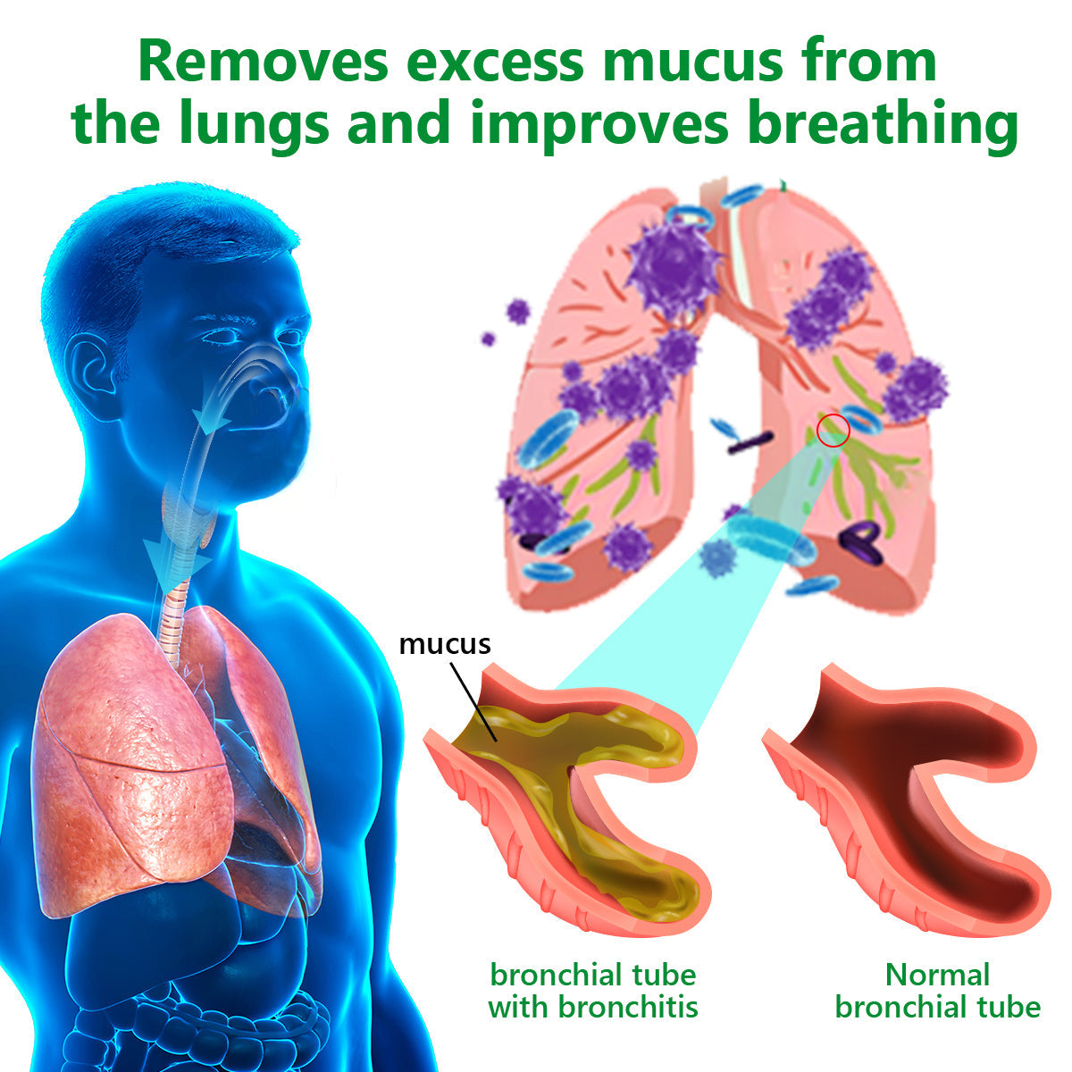 Official Store: Cvreoz™ 𝗠𝘂𝗹𝗹𝗲𝗶𝗻 𝗖𝗹𝗲𝗮𝗿 𝗟𝘂𝗻𝗴 𝗥𝗲𝗽𝗮𝗶𝗿 𝗖𝗿𝗲𝗮𝗺 - American Thoracic Society Endorsed to Support Lung Health👑