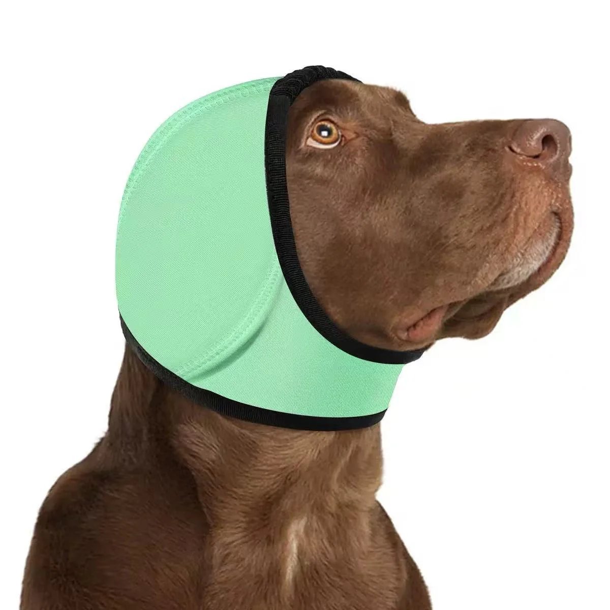 🔥 HOT SALE 50% OFF-Dog Calming Ear Wrap