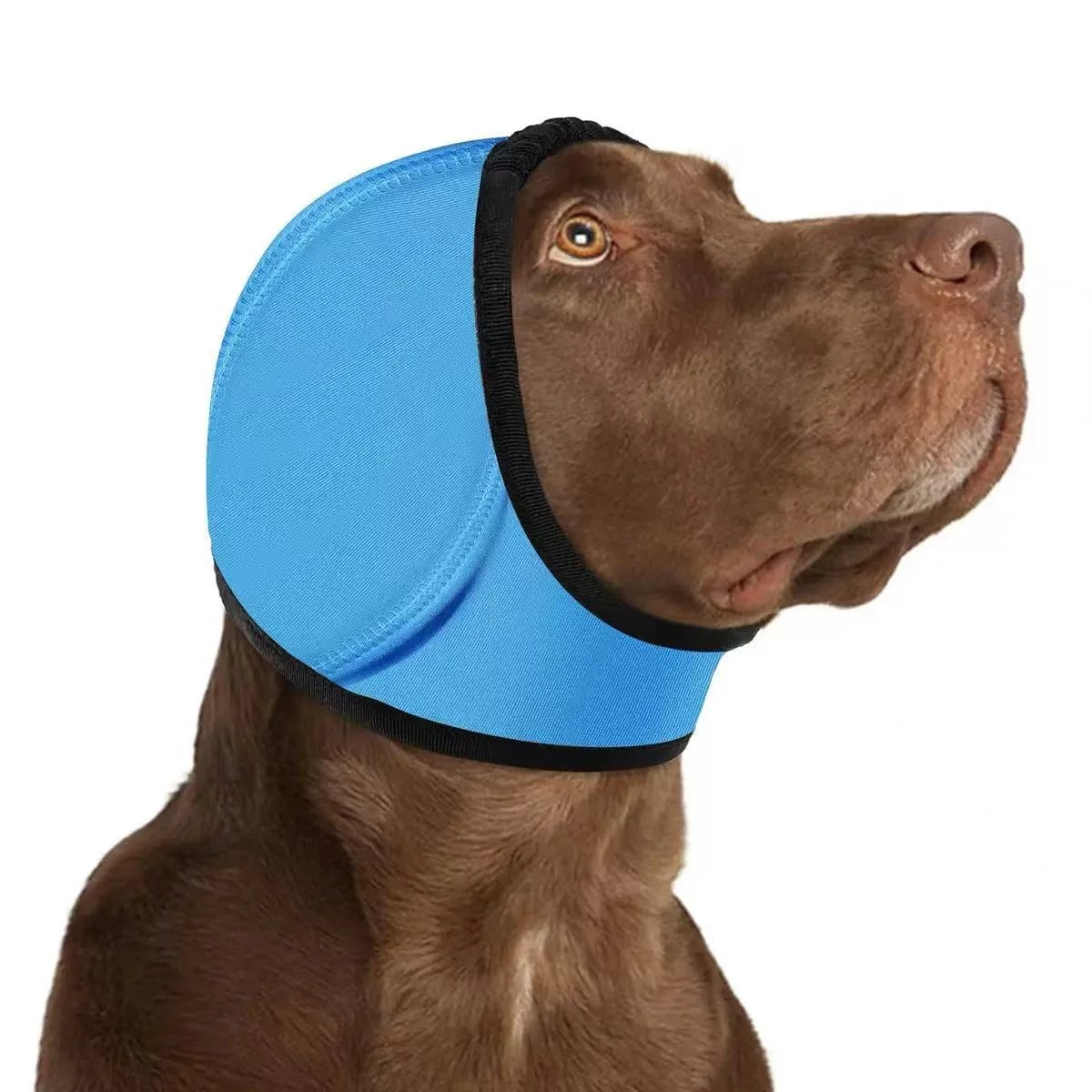 🔥 HOT SALE 50% OFF-Dog Calming Ear Wrap