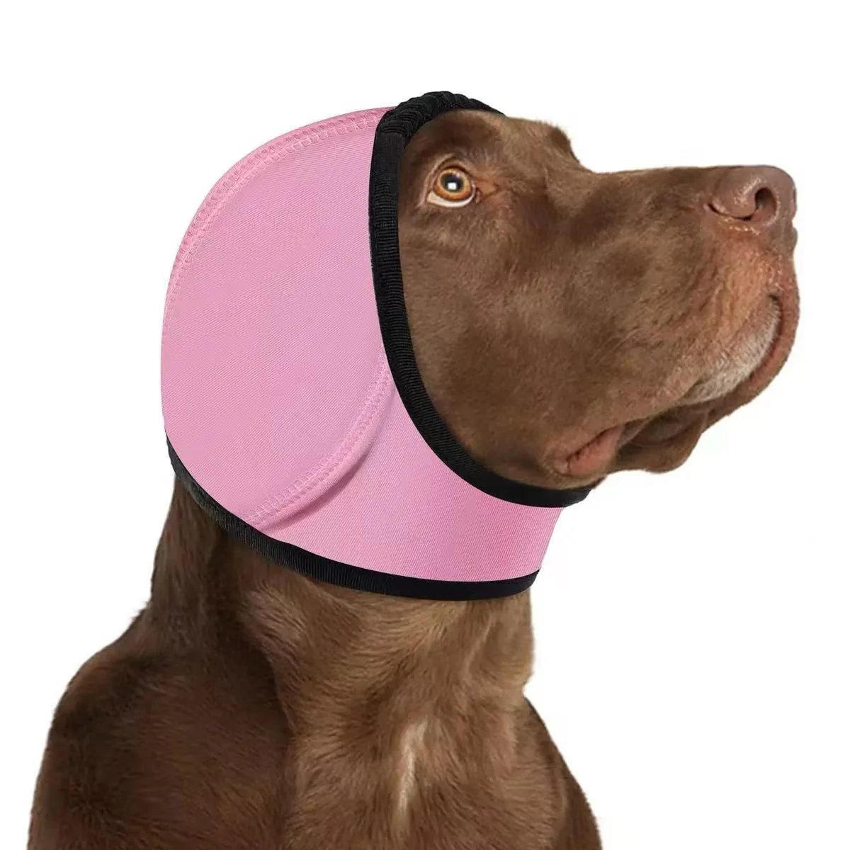 🔥 HOT SALE 50% OFF-Dog Calming Ear Wrap