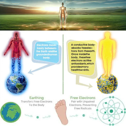 ODALIT™ Natural Pain Relief Cushion 🌎