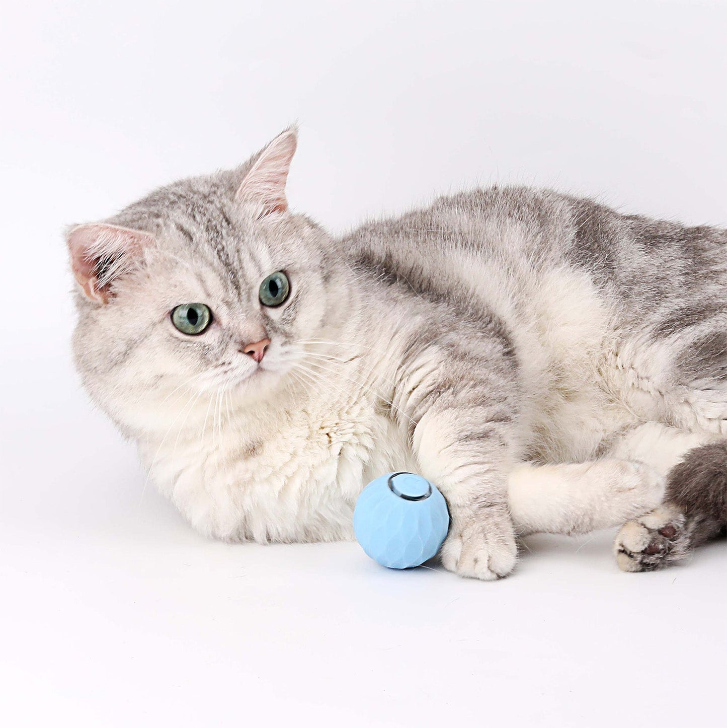 🎄2025🐾New Release - 50% Off - Automatic Smart Cat Teaser Ball 2.0