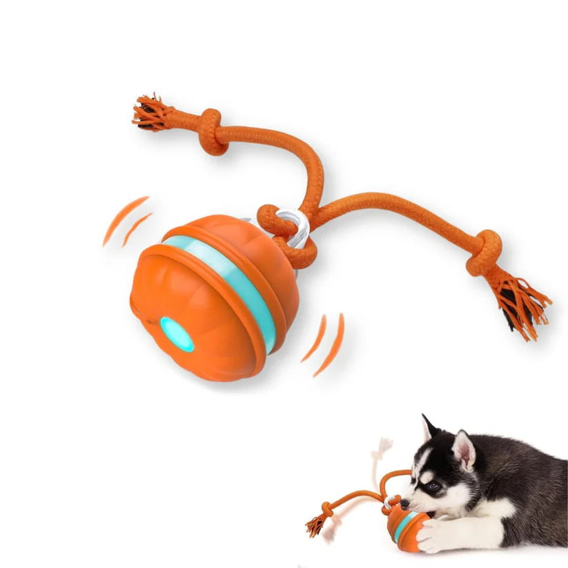 🐾YOBENSUN™ – The Ultimate Toy to Keep Your Dog Happy & Calm