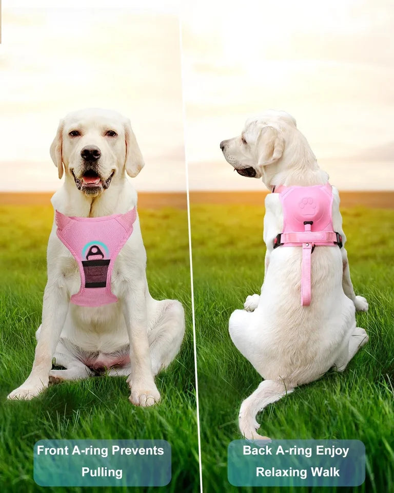 🐕 2025 New Ultimate Dog Harness & Leash: Comfort & Control 🐾