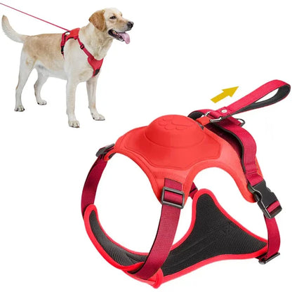 🐕 2025 New Ultimate Dog Harness & Leash: Comfort & Control 🐾