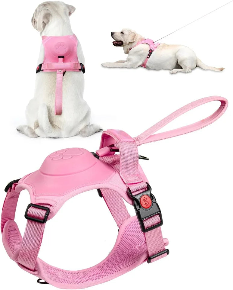 🐕 2025 New Ultimate Dog Harness & Leash: Comfort & Control 🐾