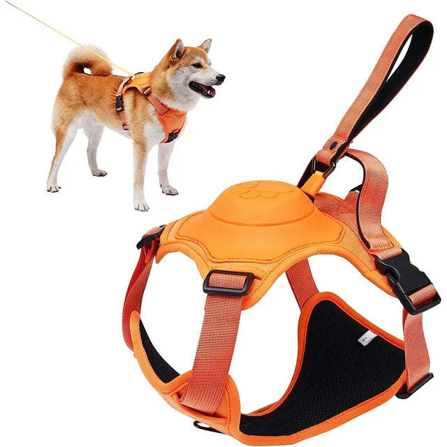 🐕 2025 New Ultimate Dog Harness & Leash: Comfort & Control 🐾