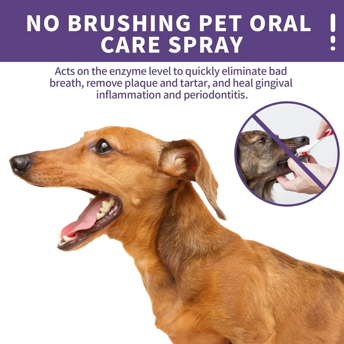 50 ML Pet Oral Cleanse Spray For Dogs And Cats Teeth - Cleaner & Deodorant