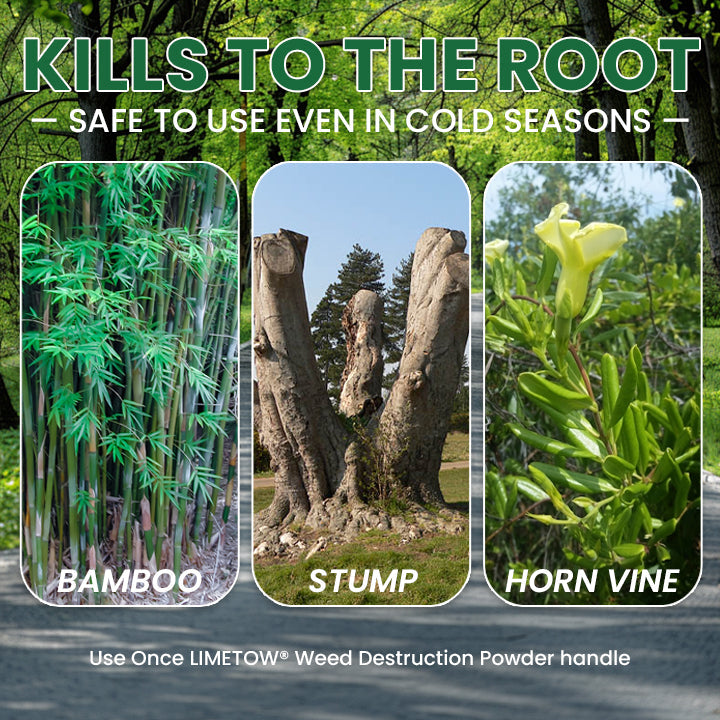 YOBENSUN® Weed Destruction Powder