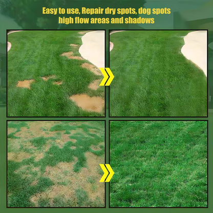🎉 Hot Sale🌱Lawn Repair & Instant Green Grass Spray