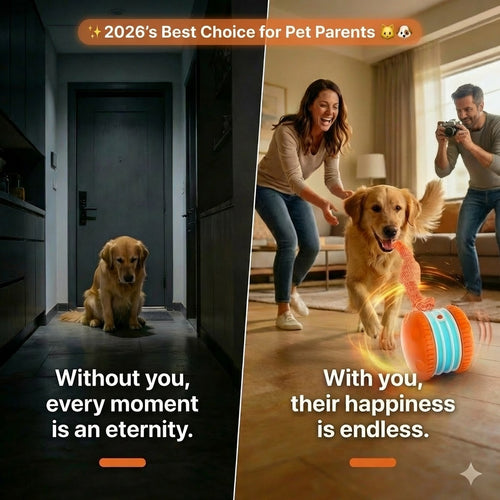 ✨2026’s Best Choice for Pet Parents for Bored Dogs & Cats 🐱🐶